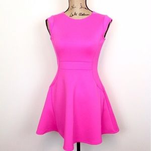 Ted Baker Skater Dress